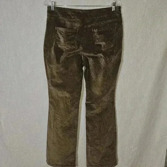 Diane Gilman DG2 Brown Pullon Velvet Wide Leg Pants Sz PM - Picture 6 of 11